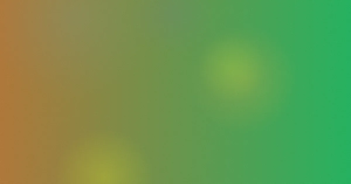 白丝美女被是什么：逐项说清